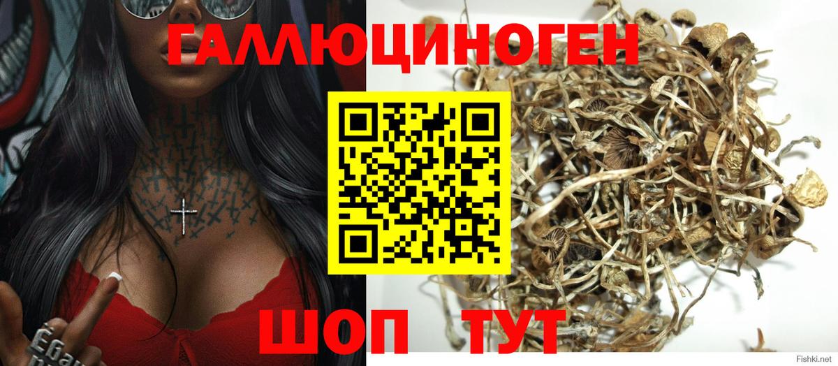 Галлюциногенные грибы ЛСД Воскресенск