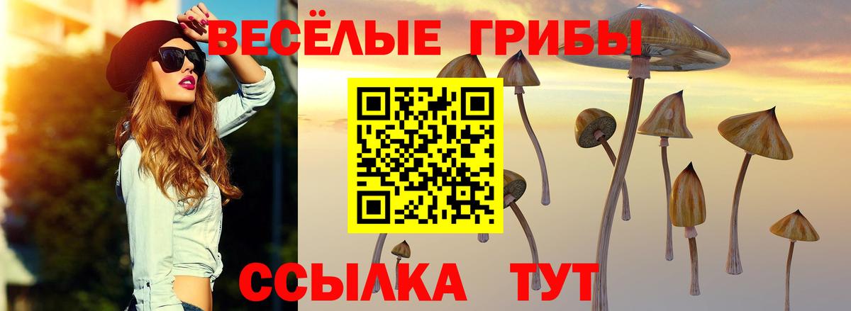 Воскресенск  Псилоцибиновые грибы Cubensis  Вход с VPN  Галлюциногенные грибы Psilocybe 